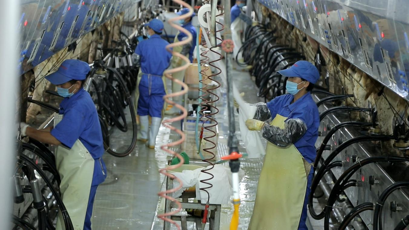 花花牛丨河南農業大學黨委副書記、校長介曉磊一行蒞臨花花牛河南瑞亞參觀調研 花花牛丨河南農業大學黨委副書記、校長介曉磊一行蒞臨花花牛河南瑞亞參觀調研