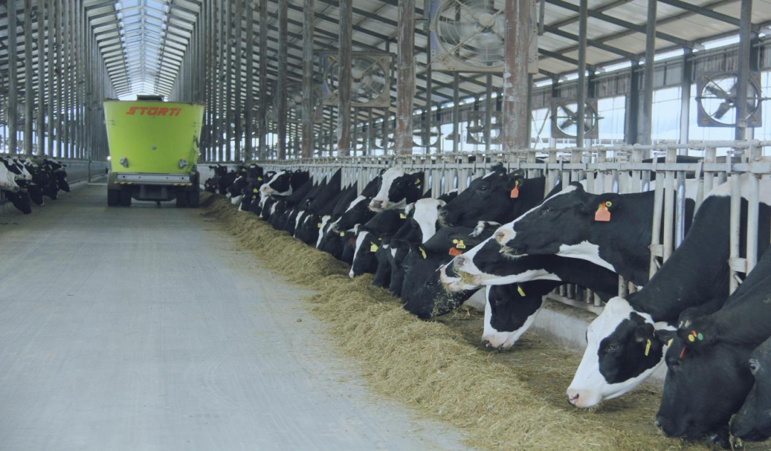 北京大學(xué)南南合作與發(fā)展學(xué)院教授、全球伙伴關(guān)系主任周詠梅一行蒞臨花花牛平輿瑞亞牧業(yè)參觀調(diào)研