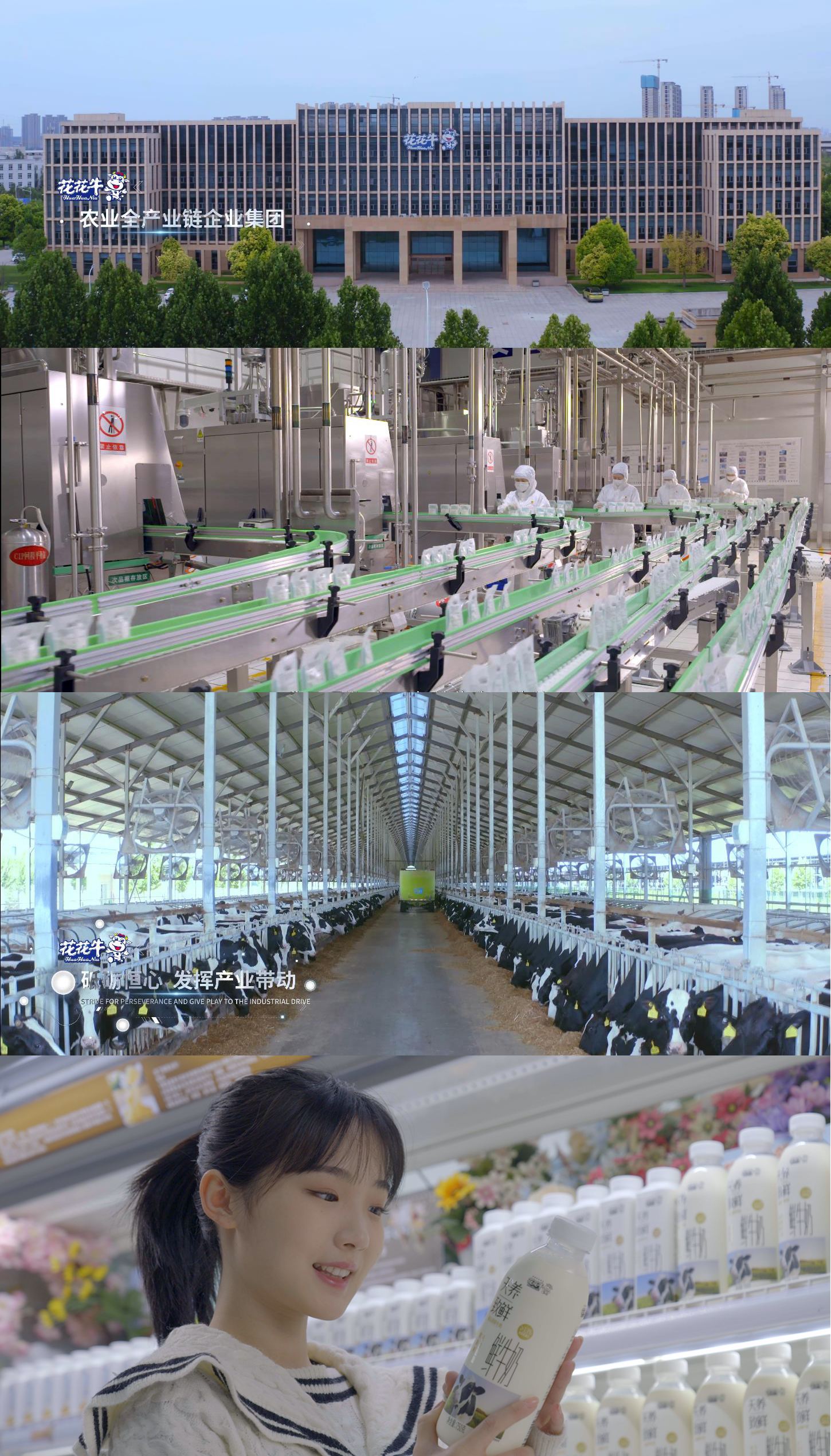 快訊 | 沈陽市政府副市長鄭濱一行蒞臨花花牛乳業集團考察