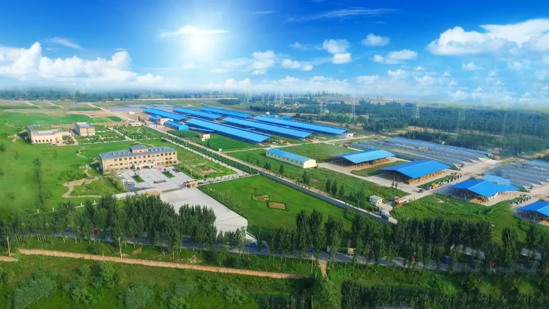 喜訊 | 花花牛一座自有牧場入選河南省“DHI測定優秀牧場”