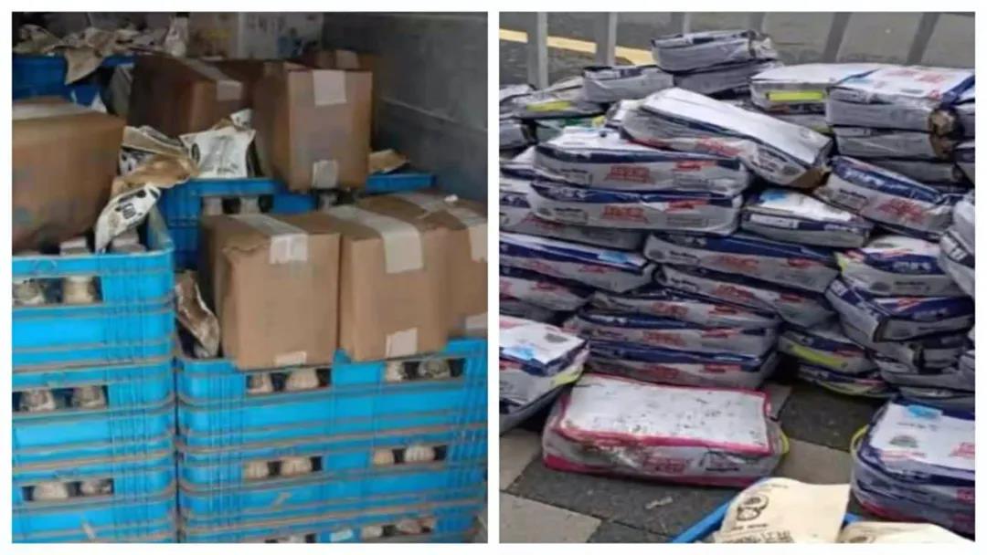 【乳報·聚焦】“豫”難而上的中原牛人“太中了”！