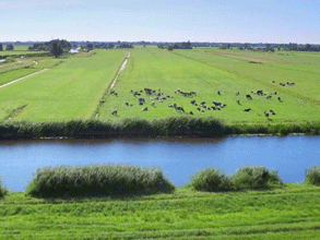 春風吹 戰鼓擂——不負春天好時光 春風吹 戰鼓擂——不負春天好時光