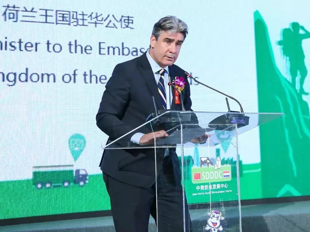 SDDDC走進河南，看看花花牛的國際范兒！