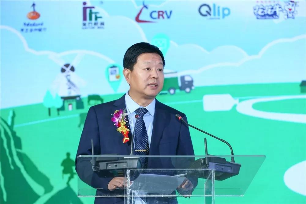 SDDDC走進河南，看看花花牛的國際范兒！