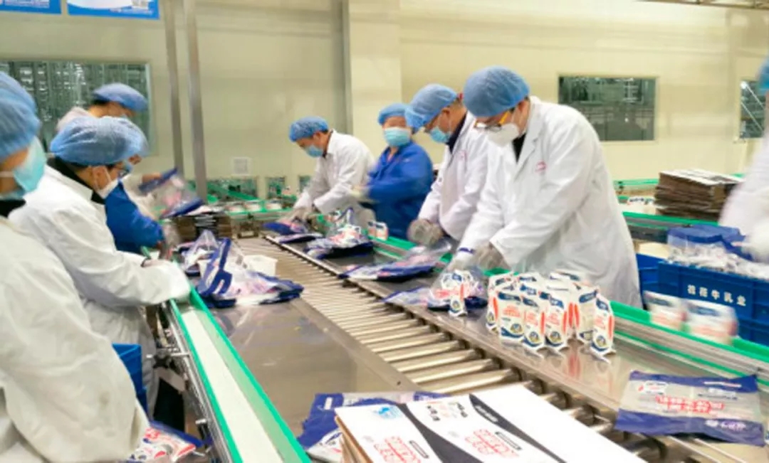 快訊丨河南省副省長(zhǎng)武國(guó)定蒞臨花花牛乳業(yè)集團(tuán)調(diào)研重點(diǎn)保障企業(yè)復(fù)工復(fù)產(chǎn)情況